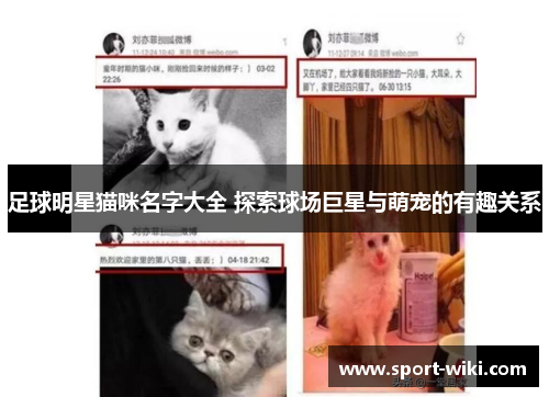 足球明星猫咪名字大全 探索球场巨星与萌宠的有趣关系